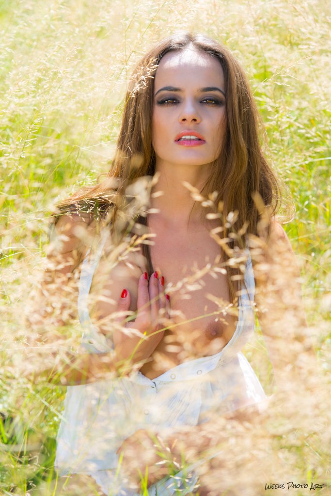 Agata Gotek