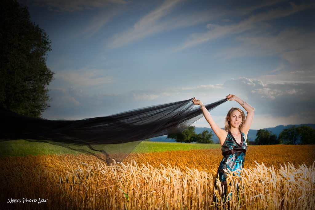 Kornfeld, Sommer, Fotografie, Shooting, Mike Weeks Fotograf