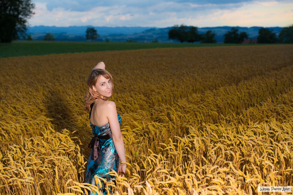 Kornfeld, Sommer, Fotografie, Shooting, Mike Weeks Fotograf