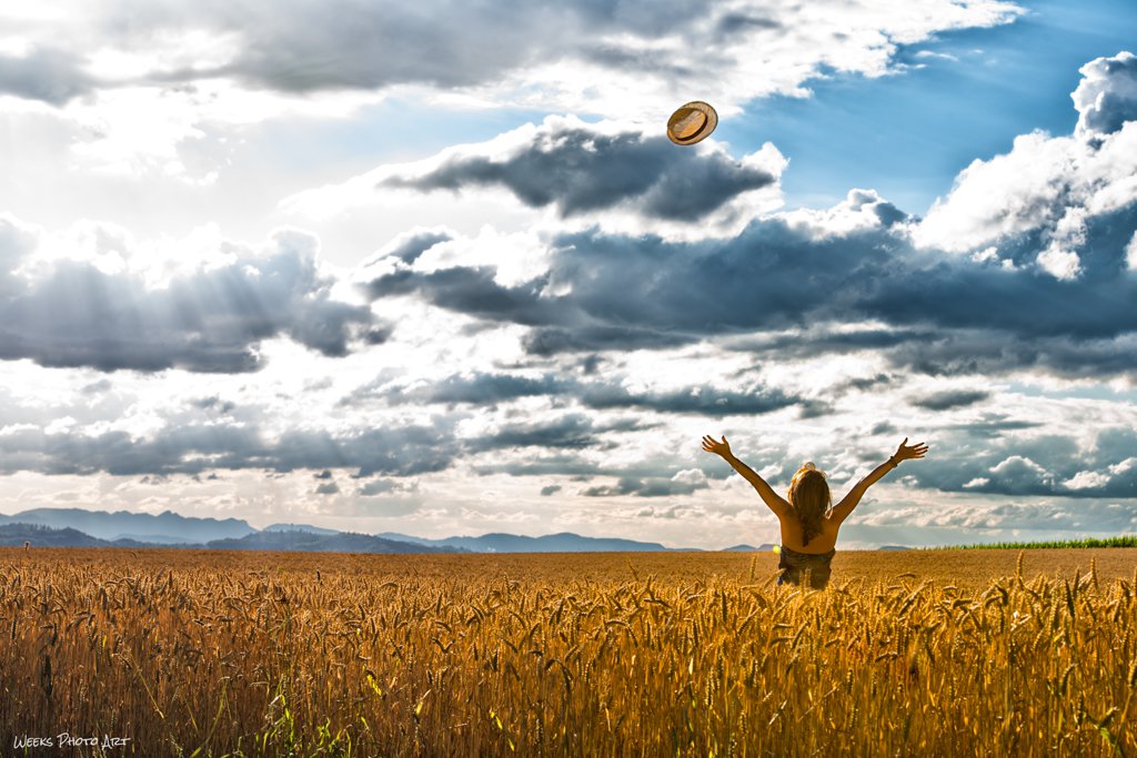 Kornfeld, Sommer, Fotografie, Shooting, Mike Weeks Fotograf