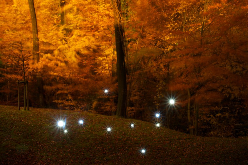 Light Art Performance Photography